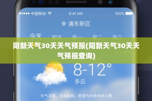 阳新天气30天天气预报(阳新天气30天天气预报查询)